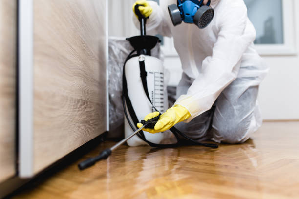 Best Local Pest Control Services  in Bolivar Peninsula, TX