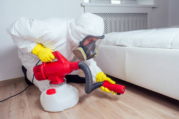Best Termite Control Services  in Bolivar Peninsula, TX
