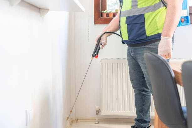 Best Affordable Pest Control Services  in Bolivar Peninsula, TX