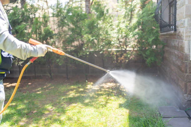 Best Spider Control Near Me  in Bolivar Peninsula, TX