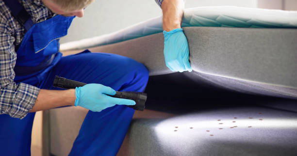 Best Bed Bug Extermination  in Bolivar Peninsula, TX