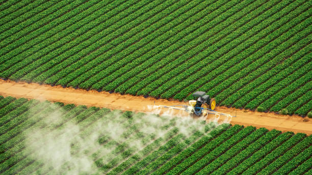 Best Pest Control Near Me  in Bolivar Peninsula, TX