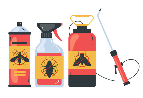Best Pest Control Near Me  in Bolivar Peninsula, TX