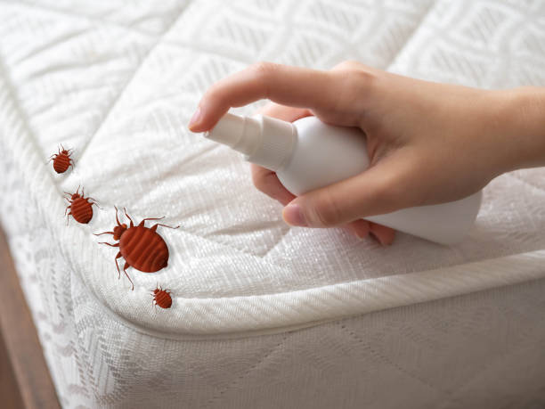 Best Pest Control for Businesses  in Bolivar Peninsula, TX